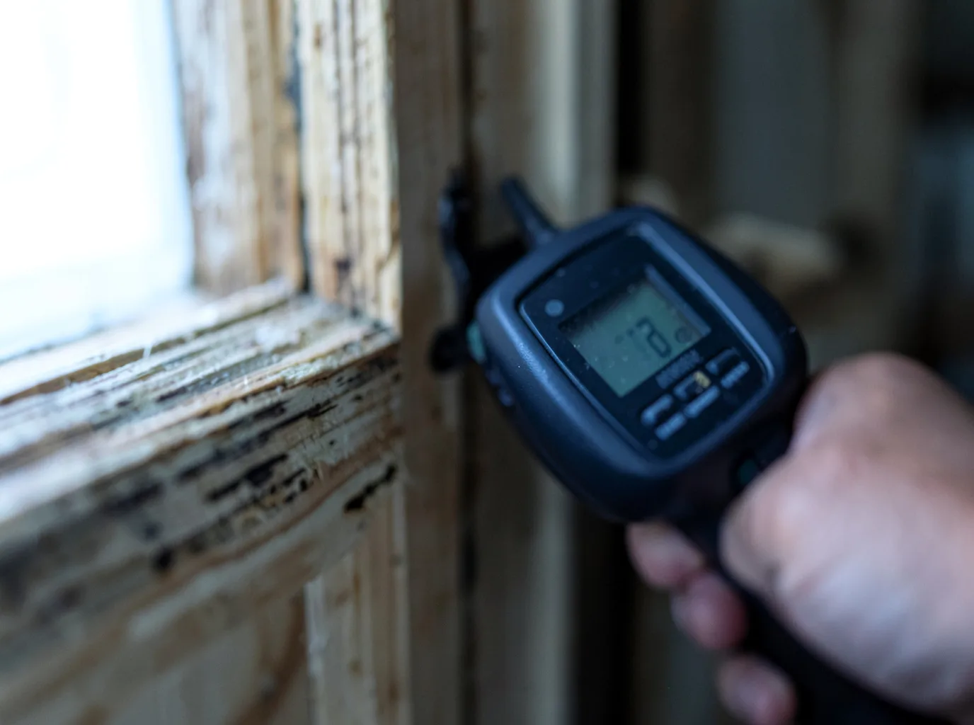 Commercial Water Damage Restoration in Loveville, MD